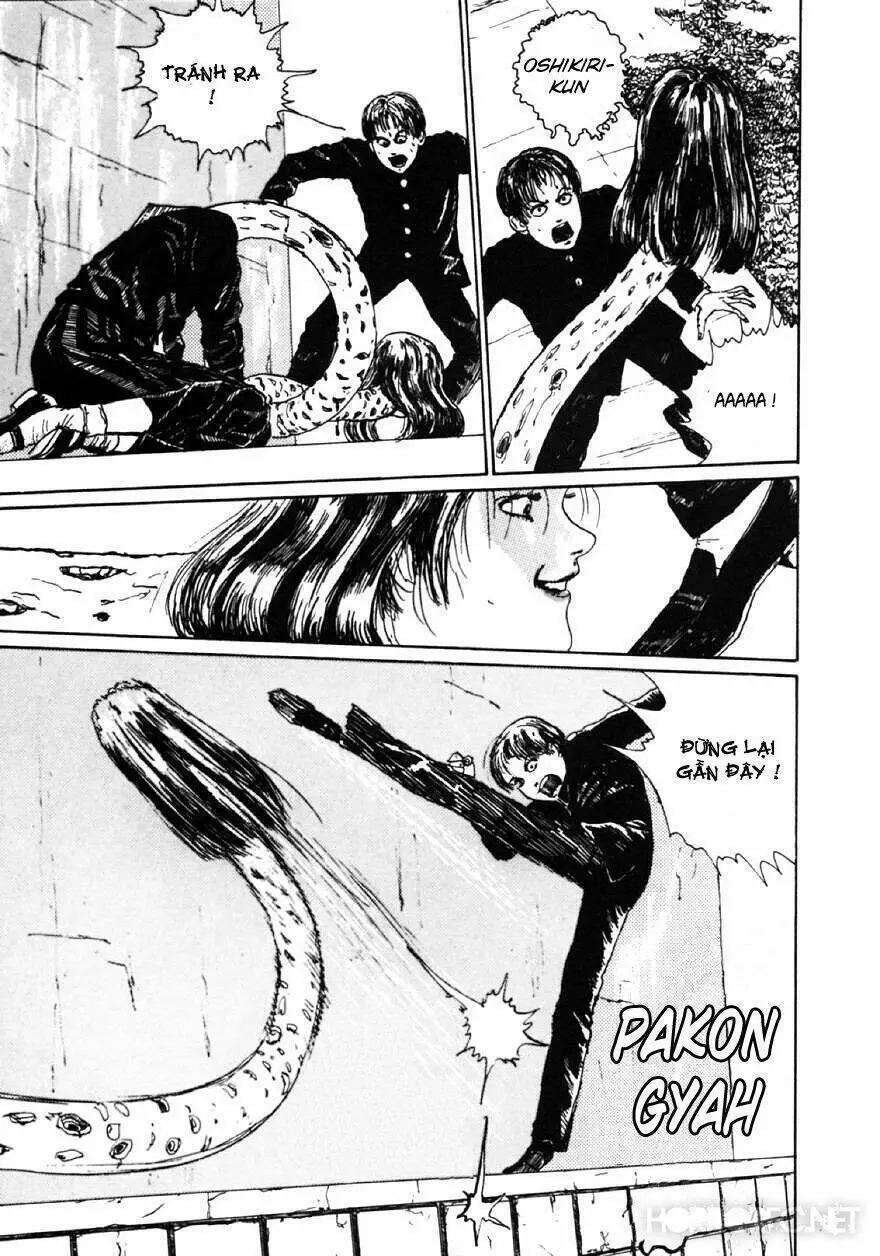 Tuyển Tập Truyện Ngắn Kinh Dị Của Ito Junji Nettruyen ZZZ Chương 9.1 Page 15