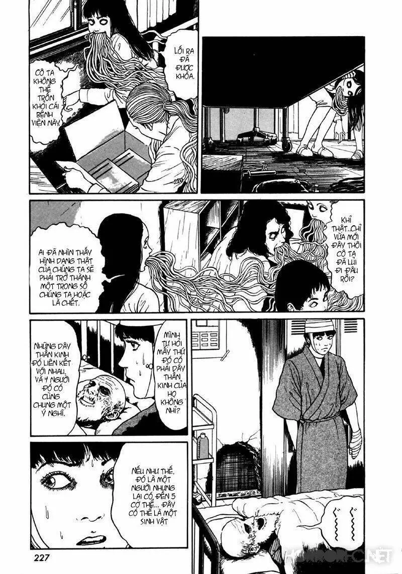 Tuyển Tập Truyện Ngắn Kinh Dị Của Ito Junji Nettruyen ZZZ Chương 8.7 Page 29