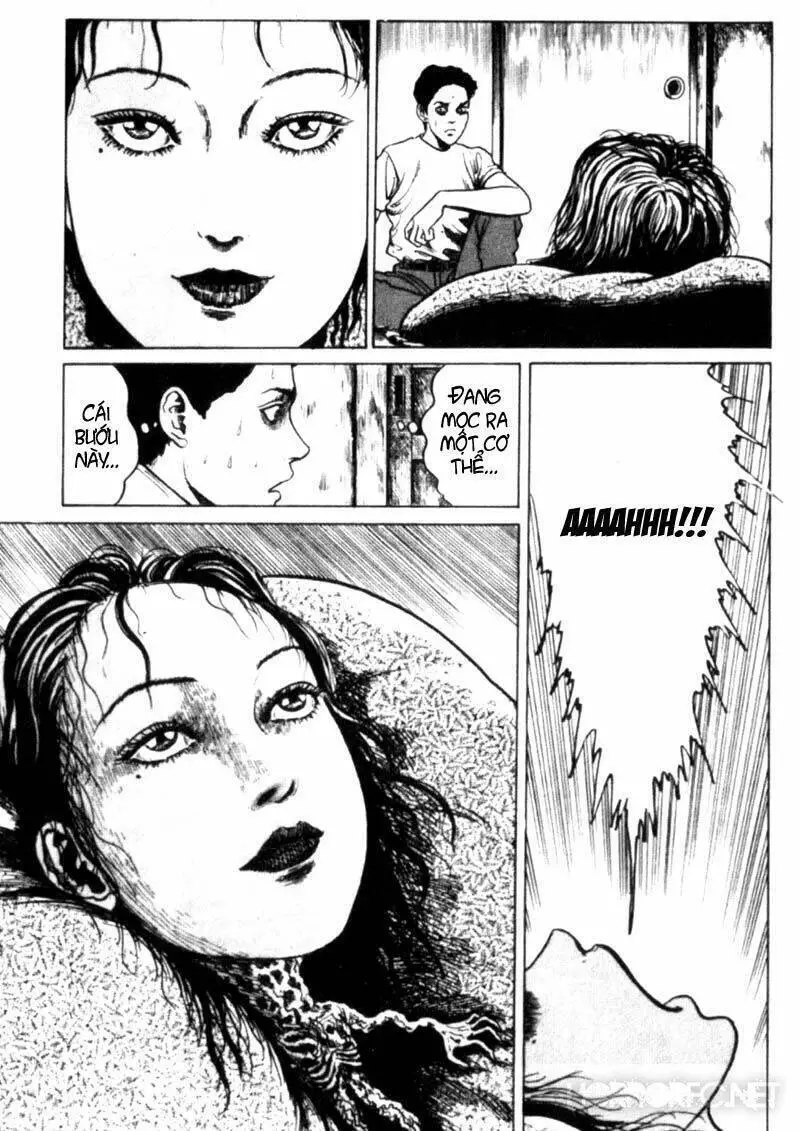 Tuyển Tập Truyện Ngắn Kinh Dị Của Ito Junji Nettruyen ZZZ Chương 2.4 Page 21