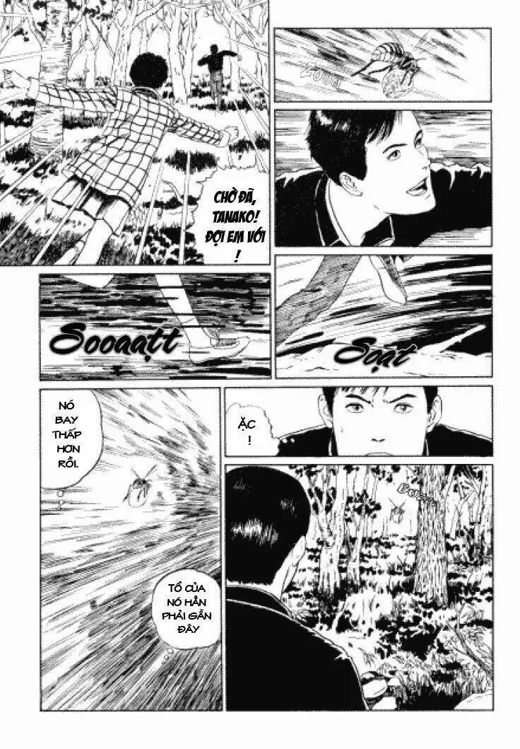 Tuyển Tập Truyện Ngắn Kinh Dị Của Ito Junji Nettruyen ZZZ Chương 3.3 Page 5