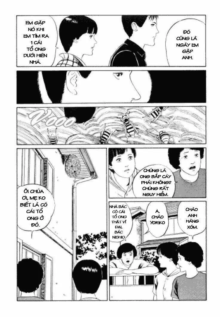 Tuyển Tập Truyện Ngắn Kinh Dị Của Ito Junji Nettruyen ZZZ Chương 3.3 Page 8