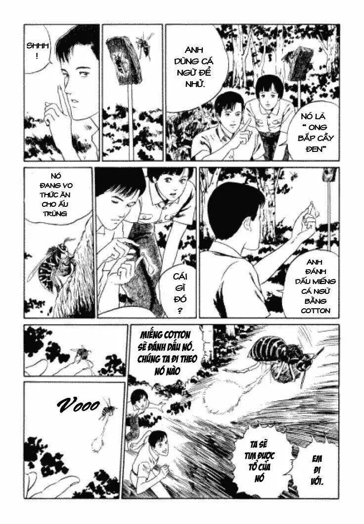 Tuyển Tập Truyện Ngắn Kinh Dị Của Ito Junji Nettruyen ZZZ Chương 3.3 Page 18