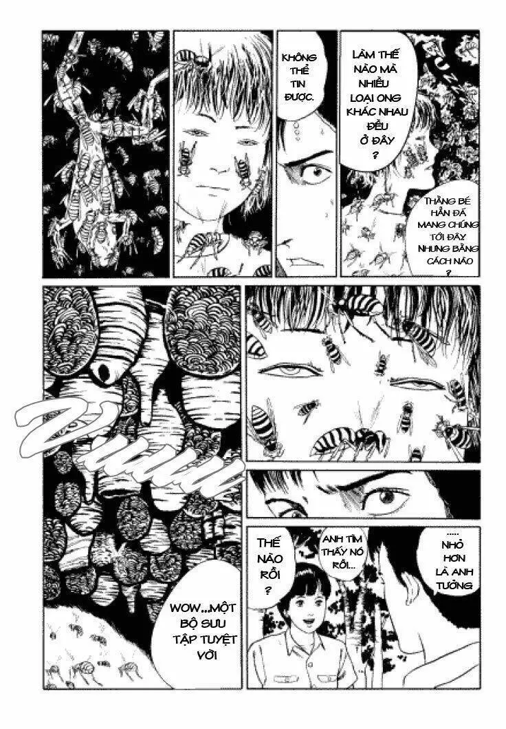 Tuyển Tập Truyện Ngắn Kinh Dị Của Ito Junji Nettruyen ZZZ Chương 3.3 Page 22