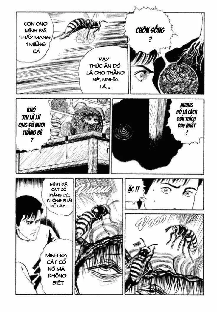 Tuyển Tập Truyện Ngắn Kinh Dị Của Ito Junji Nettruyen ZZZ Chương 3.3 Page 32