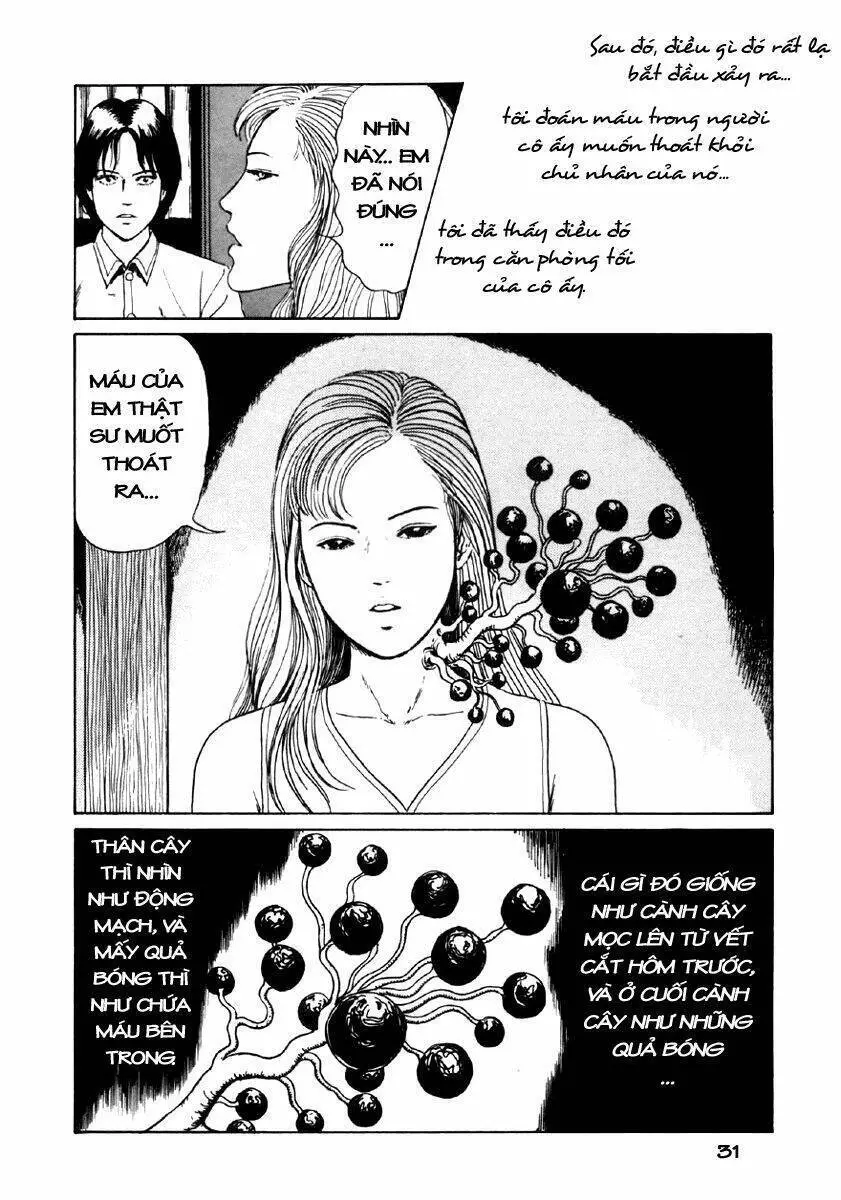 Tuyển Tập Truyện Ngắn Kinh Dị Của Ito Junji Nettruyen ZZZ Chương 8.1 Page 32