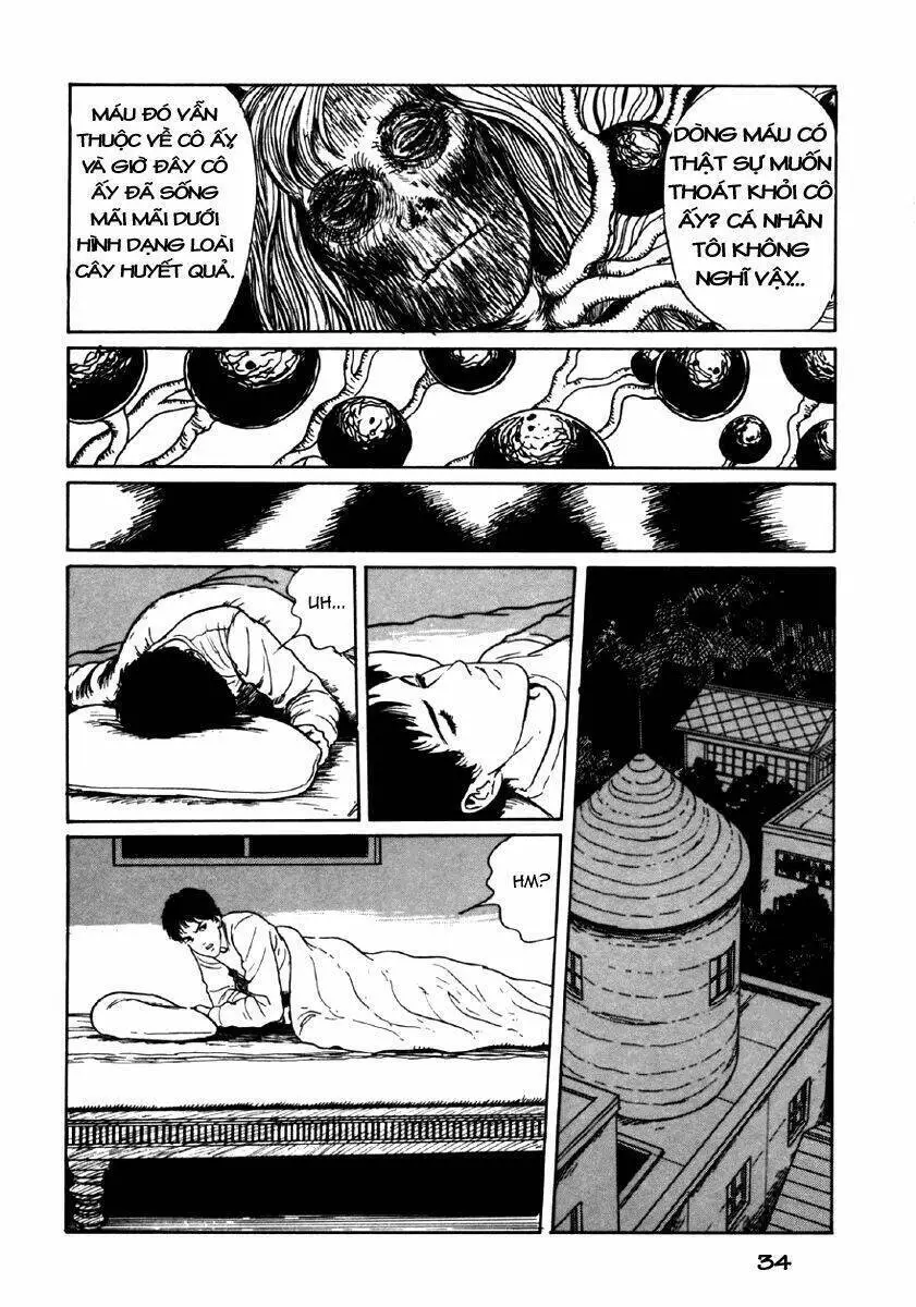 Tuyển Tập Truyện Ngắn Kinh Dị Của Ito Junji Nettruyen ZZZ Chương 8.1 Page 35