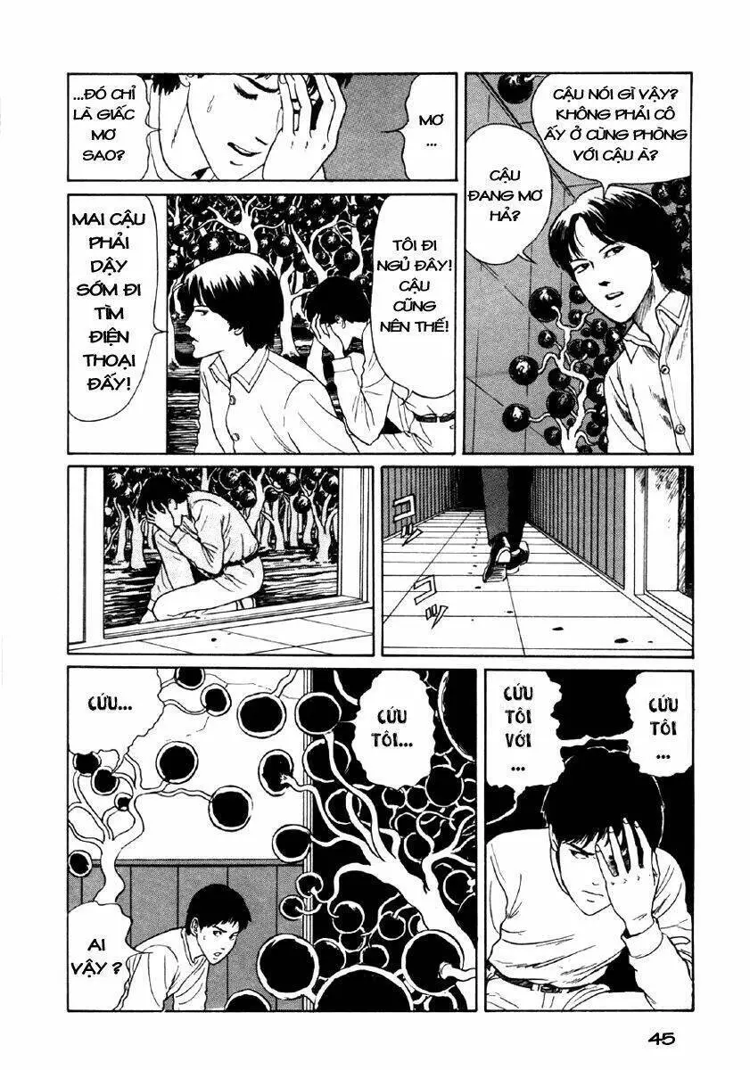 Tuyển Tập Truyện Ngắn Kinh Dị Của Ito Junji Nettruyen ZZZ Chương 8.1 Page 43