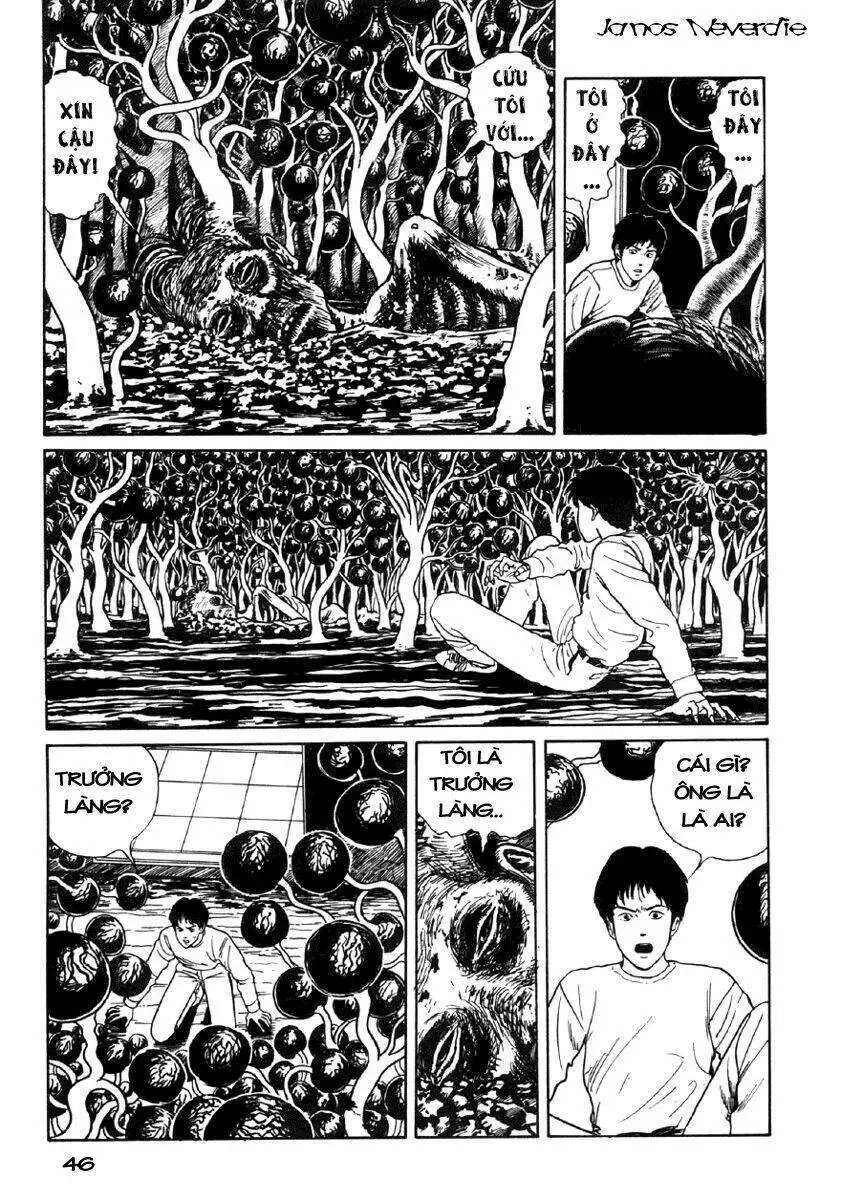 Tuyển Tập Truyện Ngắn Kinh Dị Của Ito Junji Nettruyen ZZZ Chương 8.1 Page 44