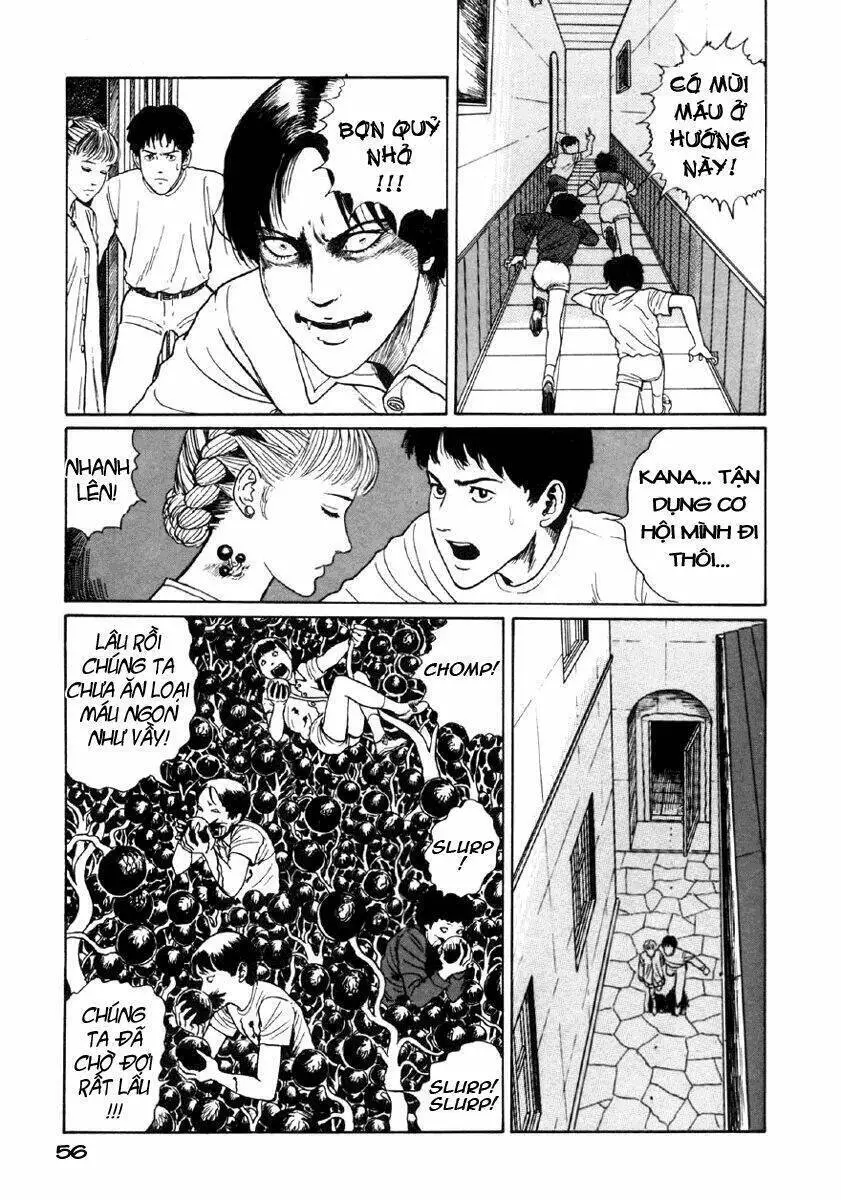 Tuyển Tập Truyện Ngắn Kinh Dị Của Ito Junji Nettruyen ZZZ Chương 8.1 Page 54