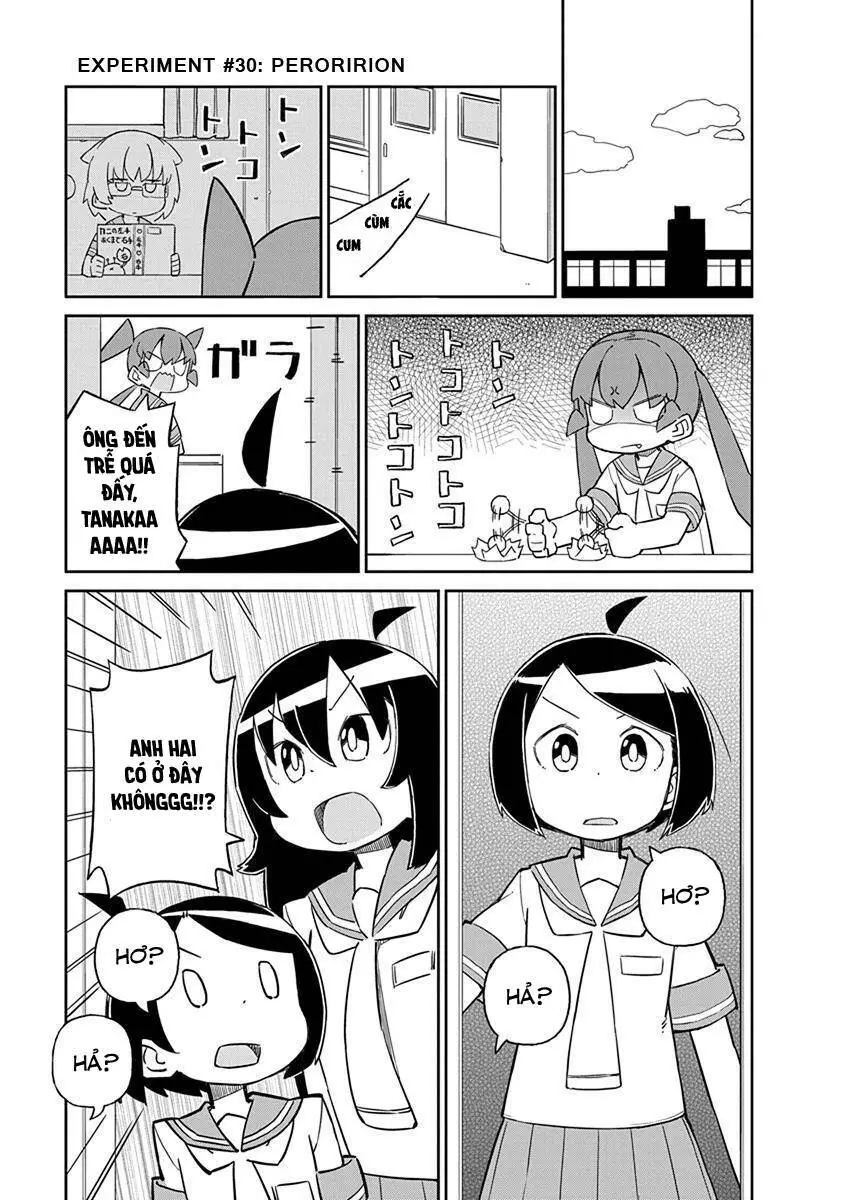 Ueno-San Wa Bukiyou Nettruyen ZZZ Chương 29 Page 2