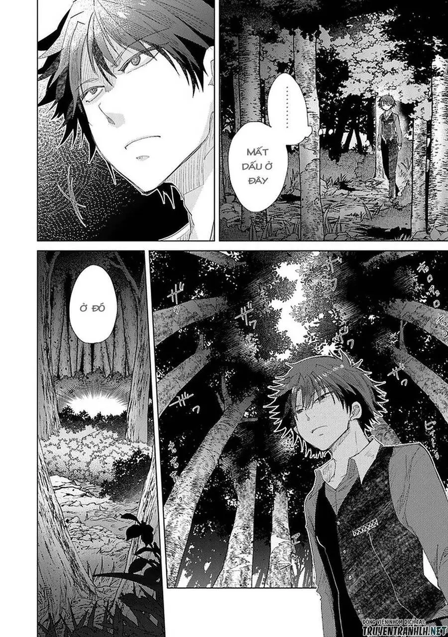 Hazure Skill “Kage Ga Usui” O Motsu Guild Shokuin Ga, Jitsuha Densetsu No Ansatsusha Nettruyen ZZZ Chương 15 Page 12