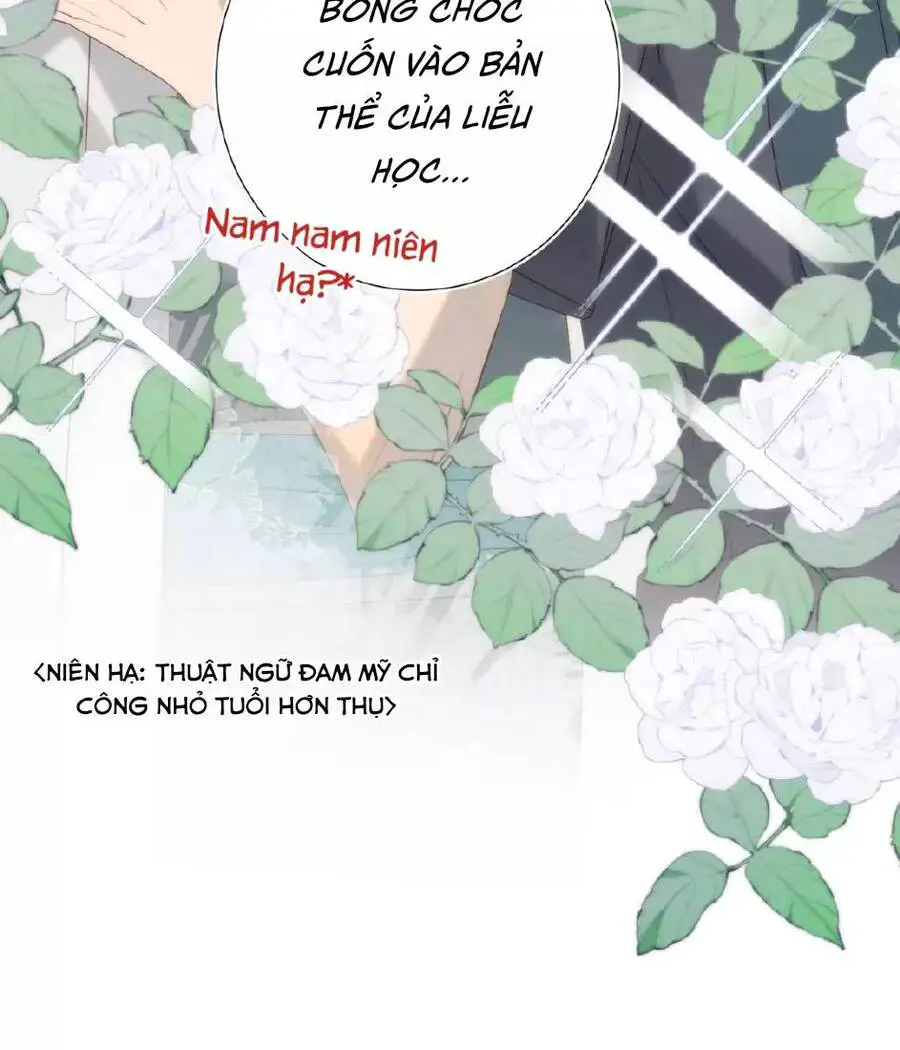 Ác Nữ Cự Tuyệt Cua Nam Chính Nettruyen ZZZ Chương 74 Page 20