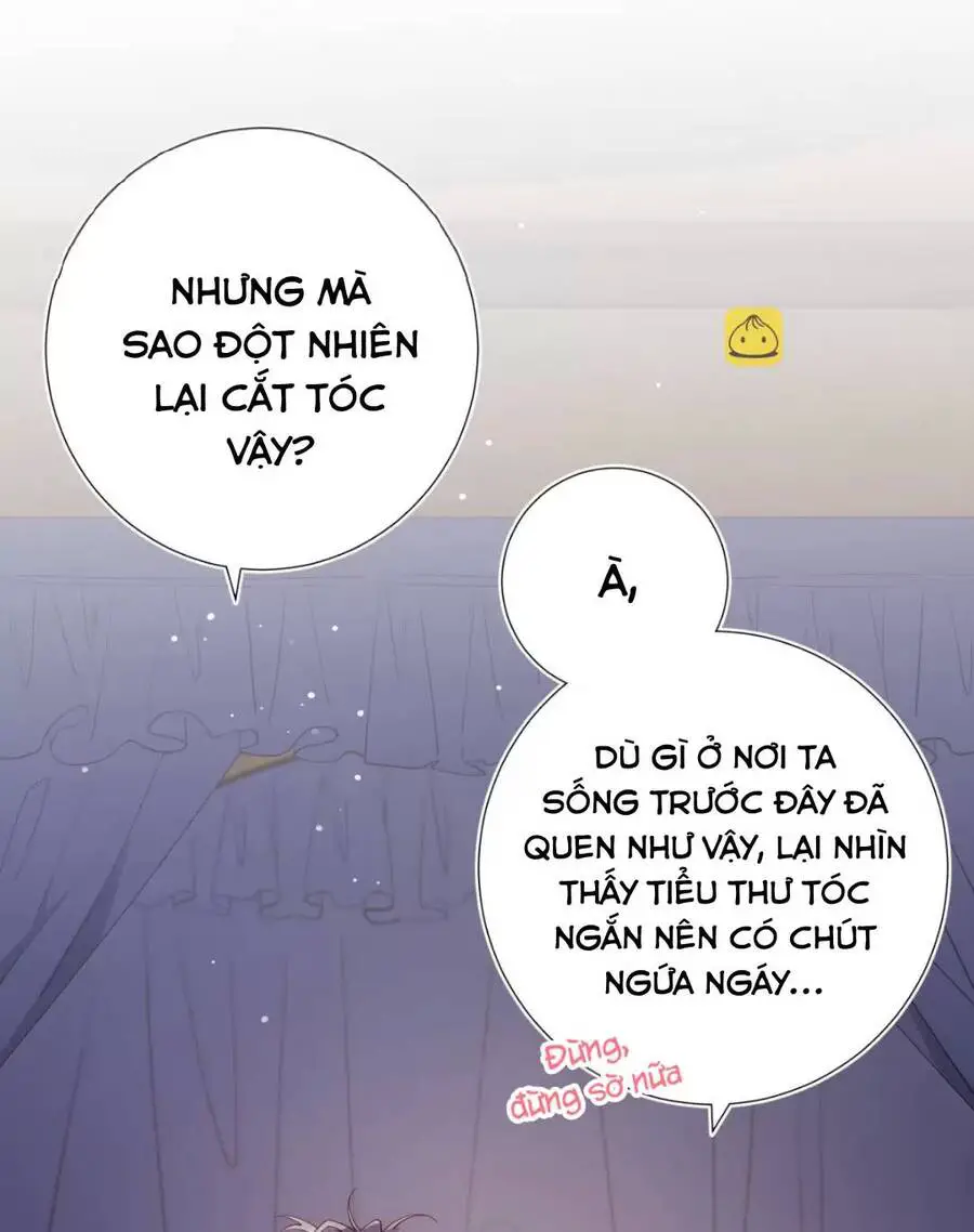 Ác Nữ Cự Tuyệt Cua Nam Chính Nettruyen ZZZ Chương 73 Page 23