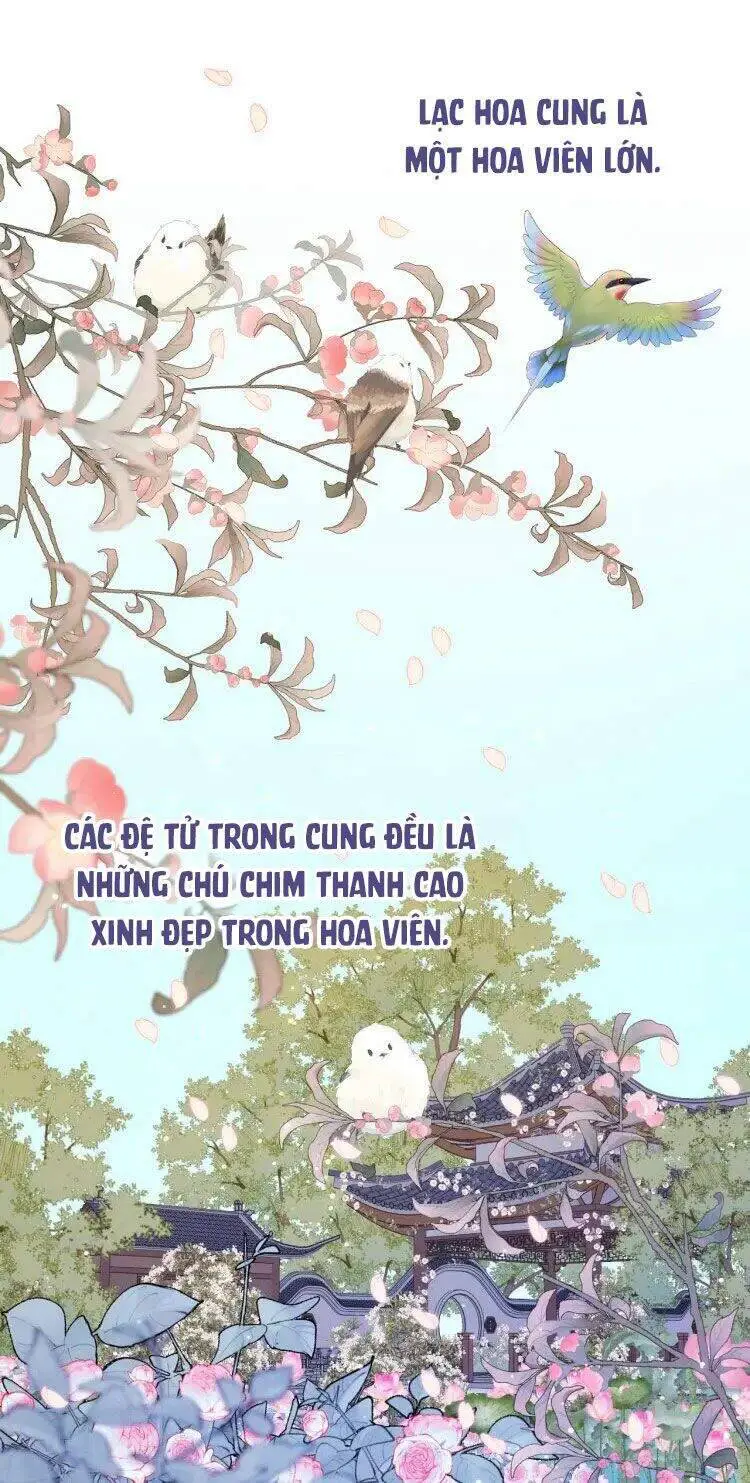 Ác Nữ Cự Tuyệt Cua Nam Chính Nettruyen ZZZ Chương 22 Page 2