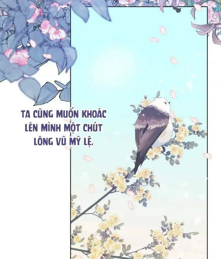 Ác Nữ Cự Tuyệt Cua Nam Chính Nettruyen ZZZ Chương 22 Page 3