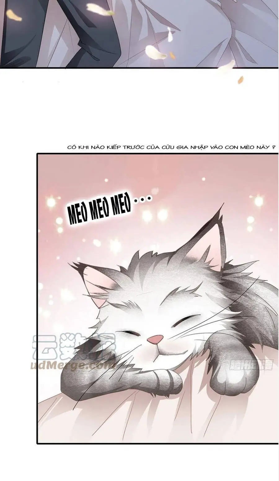 Bạo Quân Ái Nhân Nettruyen ZZZ Chương 68 Page 3