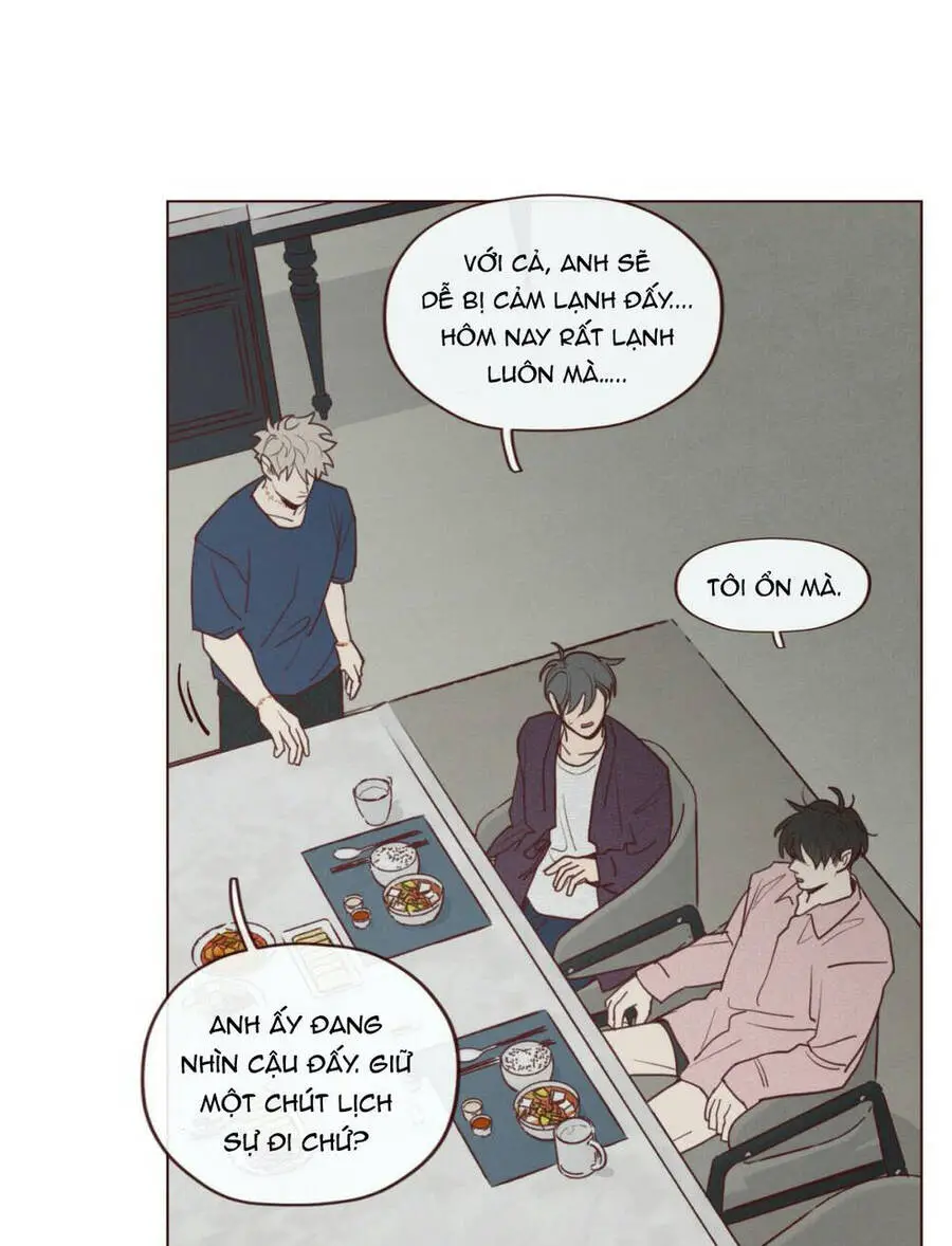 Vận Mệnh Không Mắc Sai Lầm Nettruyen ZZZ Chương 47 Page 13