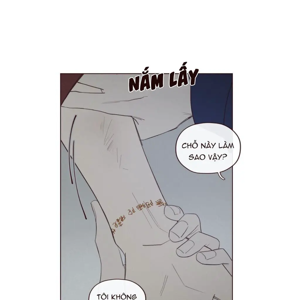 Vận Mệnh Không Mắc Sai Lầm Nettruyen ZZZ Chương 36 Page 13