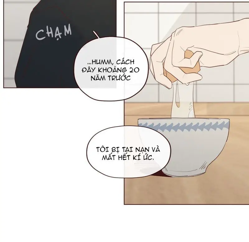 Vận Mệnh Không Mắc Sai Lầm Nettruyen ZZZ Chương 19 Page 14
