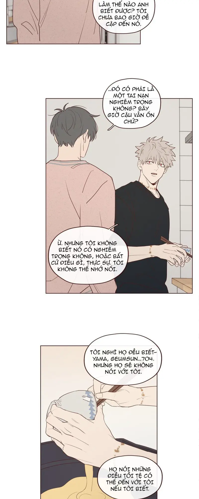 Vận Mệnh Không Mắc Sai Lầm Nettruyen ZZZ Chương 19 Page 19