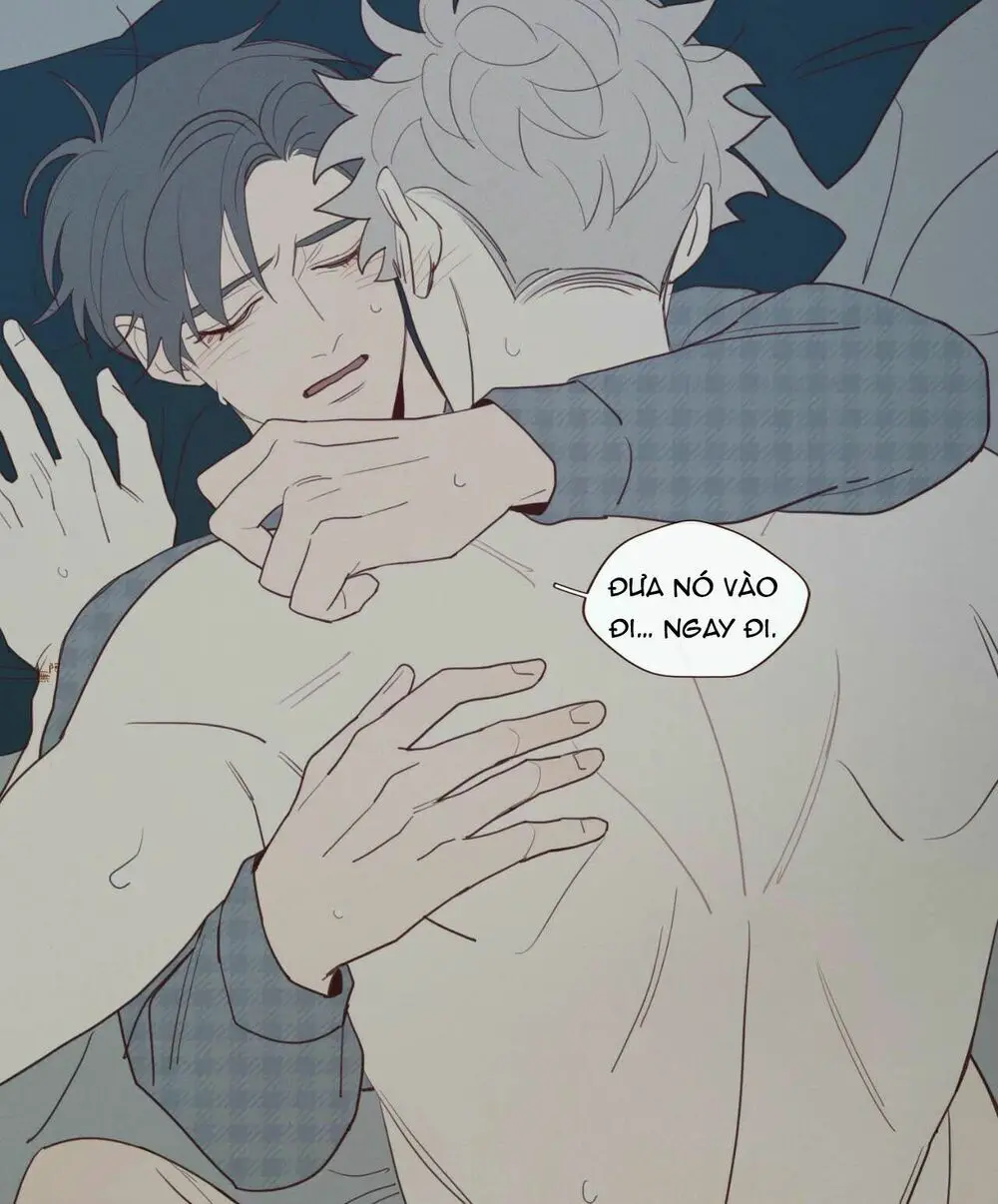 Vận Mệnh Không Mắc Sai Lầm Nettruyen ZZZ Chương 41 Page 33