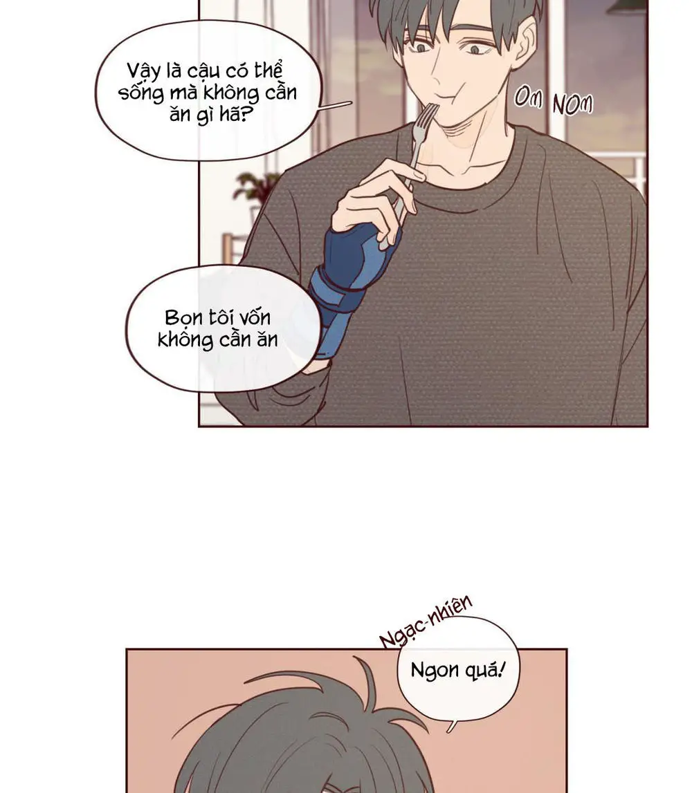 Vận Mệnh Không Mắc Sai Lầm Nettruyen ZZZ Chương 8 Page 16