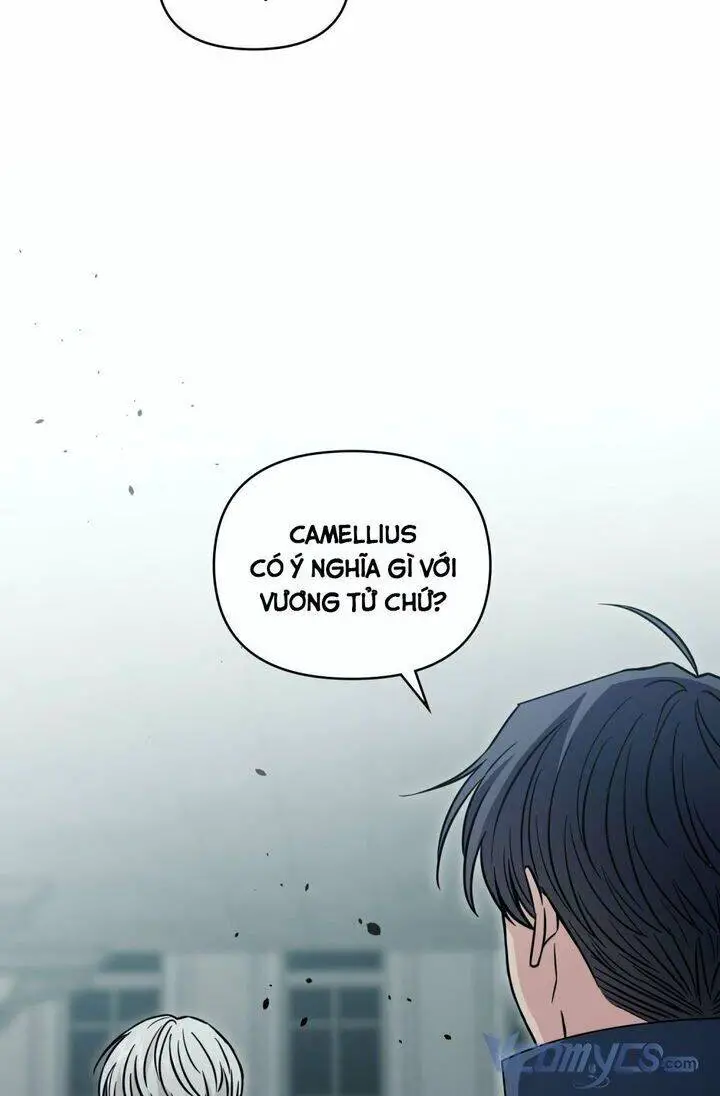 Tìm Lại Camellia Nettruyen ZZZ Chương 46 Page 61
