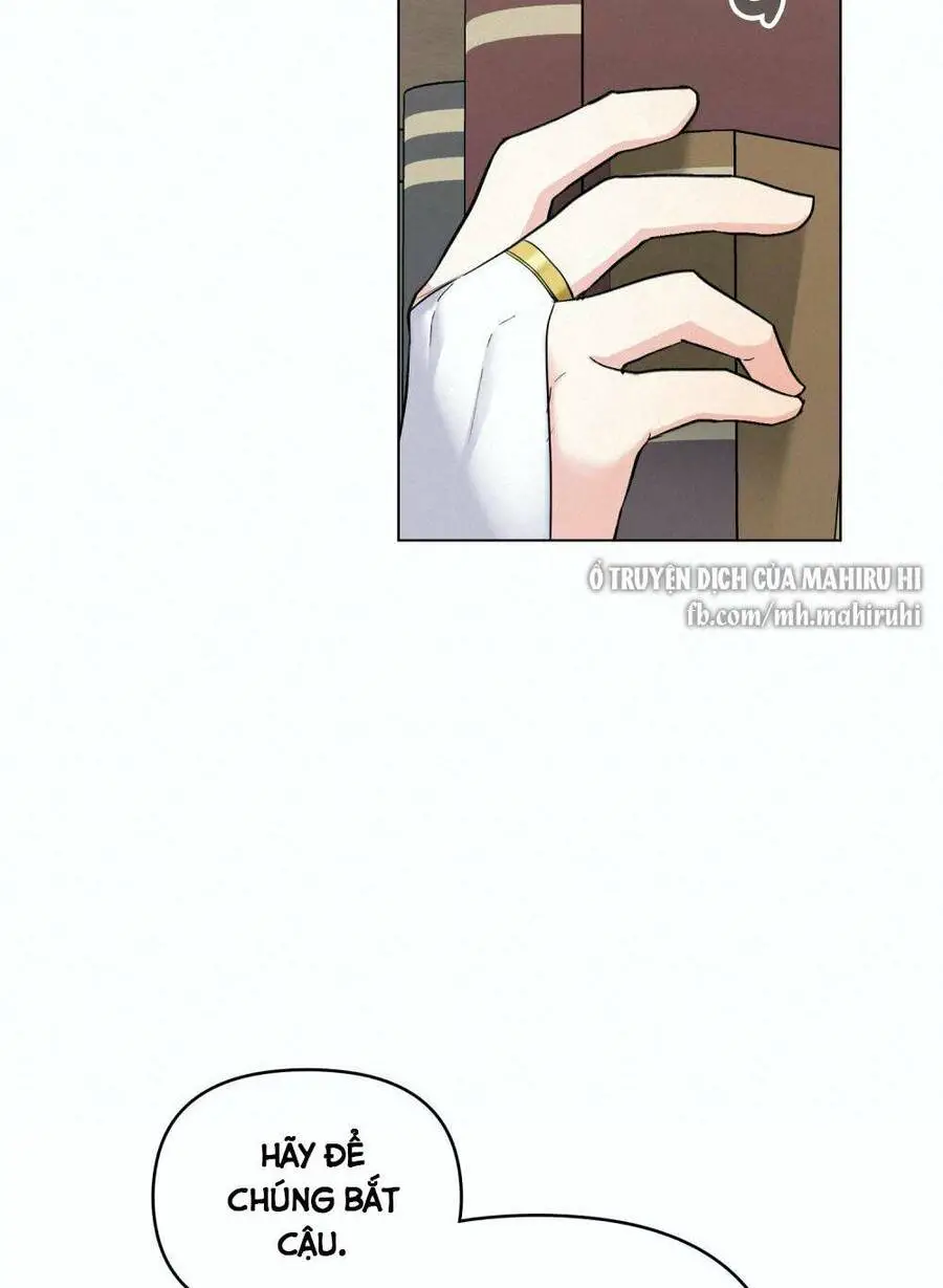 Tìm Lại Camellia Nettruyen ZZZ Chương 41 Page 47