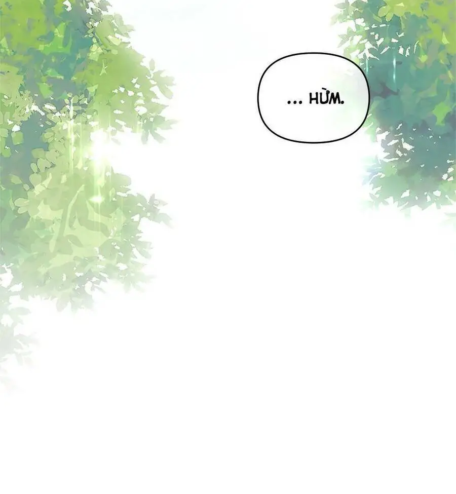 Tìm Lại Camellia Nettruyen ZZZ Chương 19 Page 66