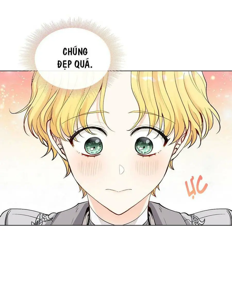 Tìm Lại Camellia Nettruyen ZZZ Chương 13 Page 4