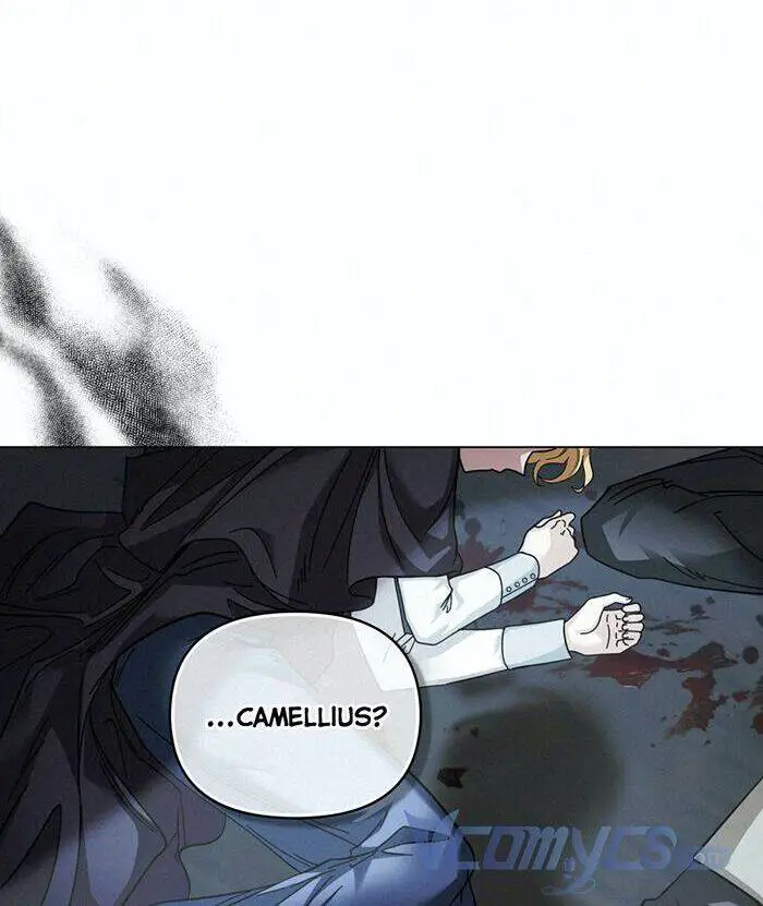 Tìm Lại Camellia Nettruyen ZZZ Chương 49 Page 3