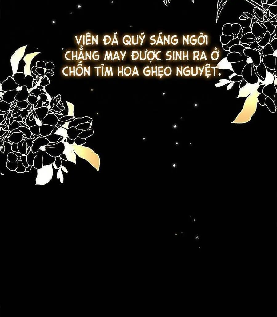Tìm Lại Camellia Nettruyen ZZZ Chương 1 Page 29