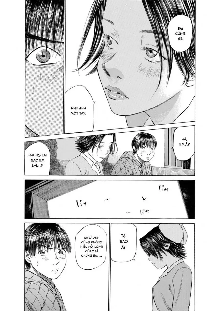 Give My Regards To Black Jack Nettruyen ZZZ Chương 31 Page 8