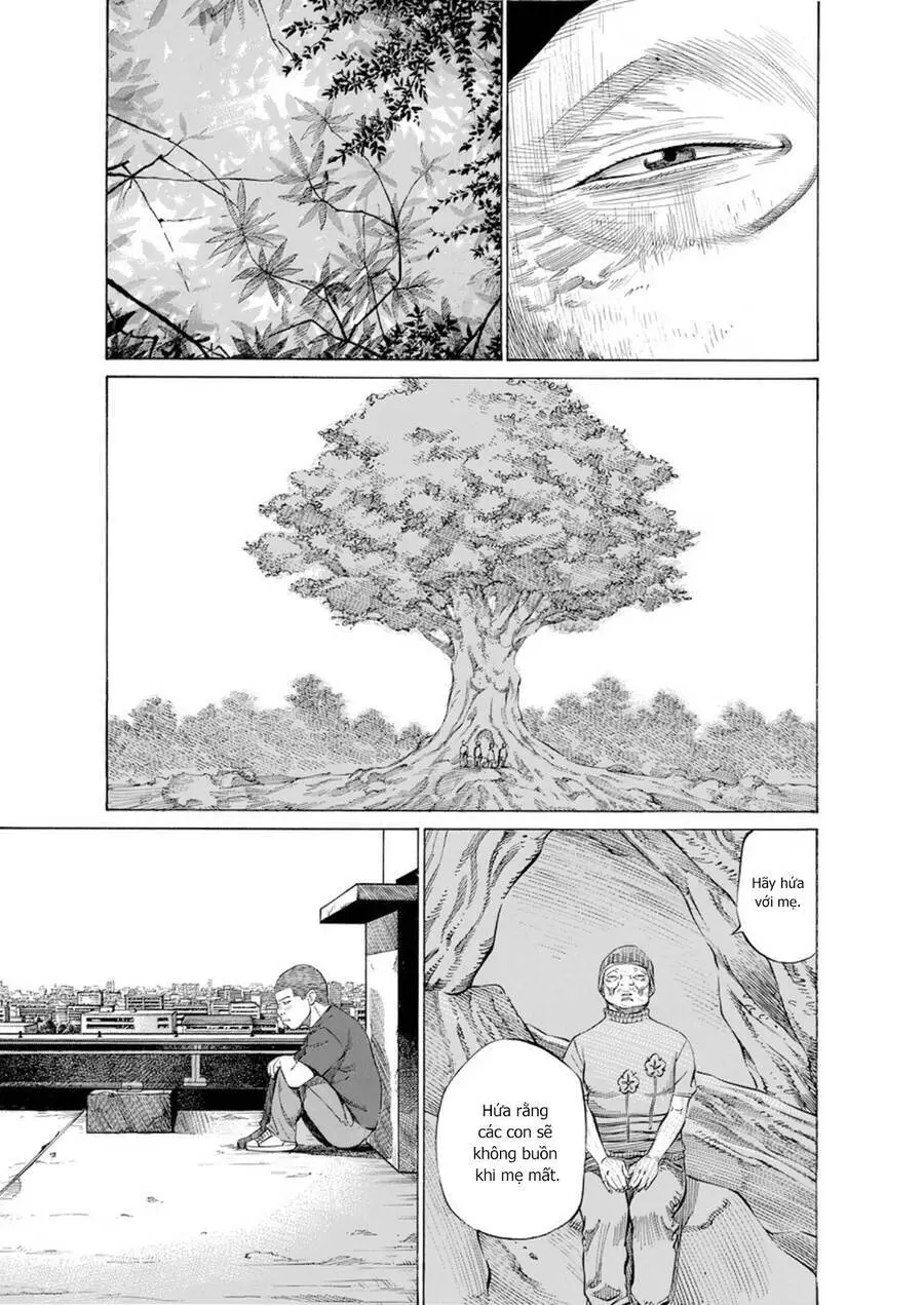 Give My Regards To Black Jack Nettruyen ZZZ Chương 78 Page 10