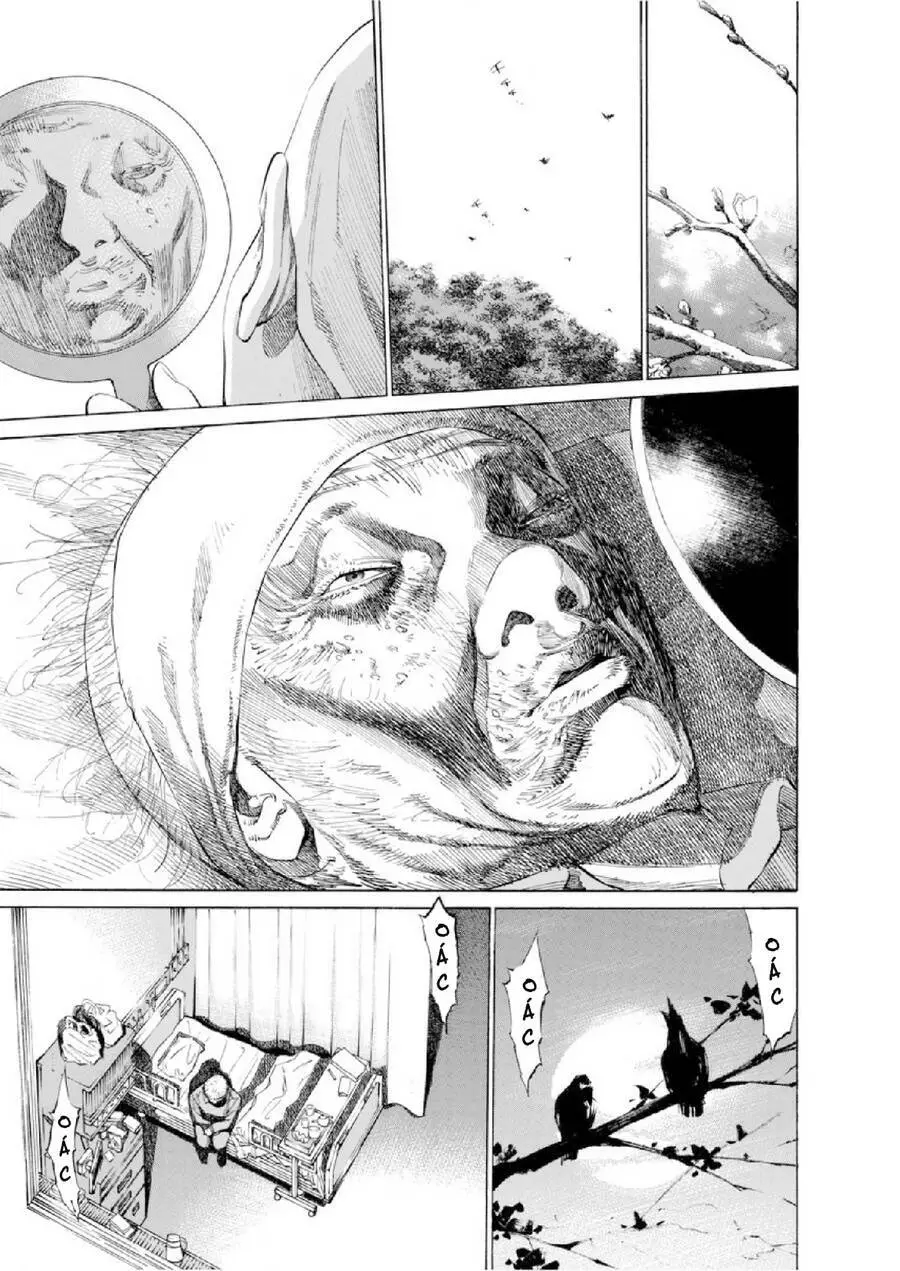 Give My Regards To Black Jack Nettruyen ZZZ Chương 50 Page 8