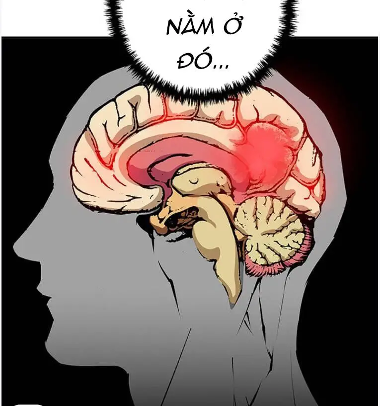 Tôi Viết Sách Để Thăng Cấp Nettruyen ZZZ Chương 96 Page 43