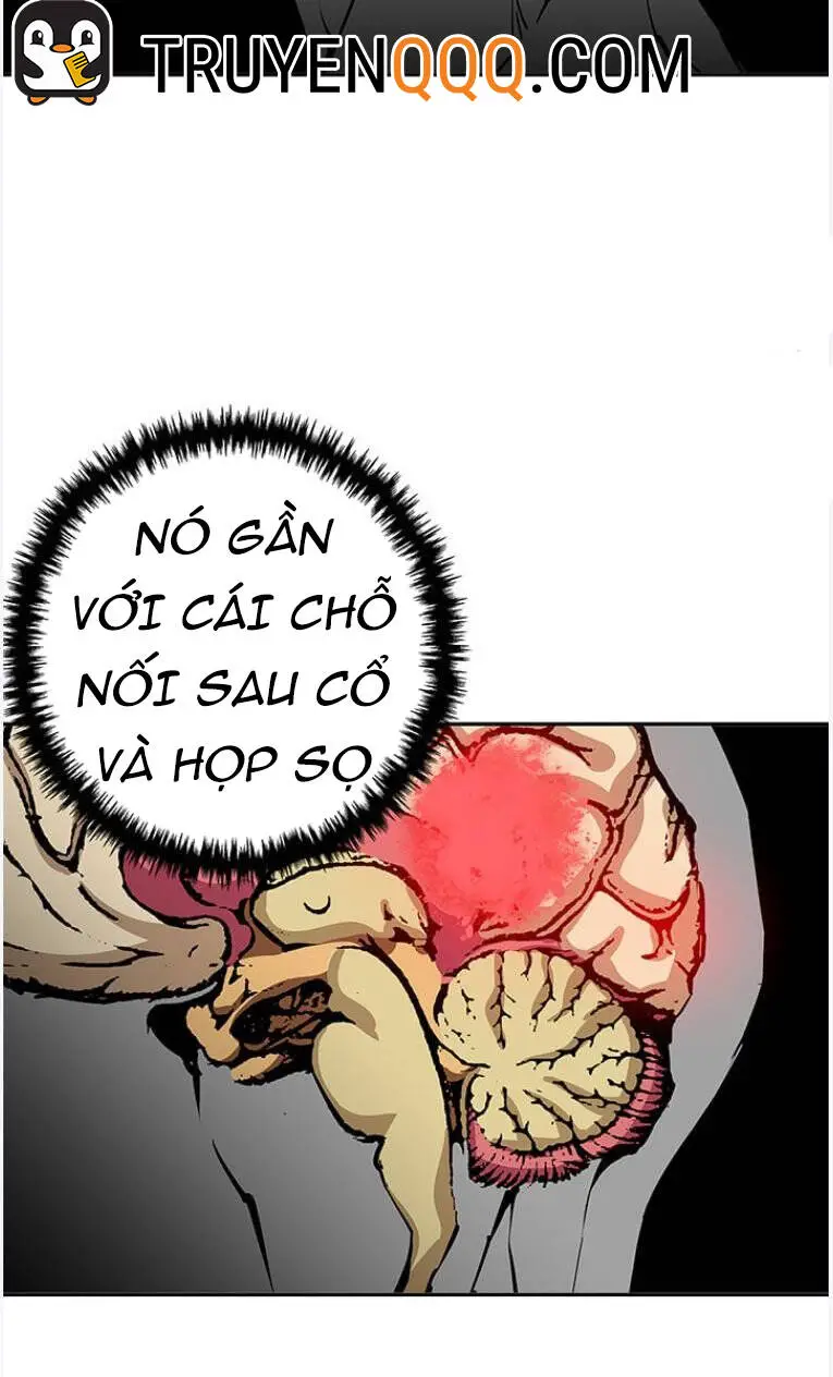 Tôi Viết Sách Để Thăng Cấp Nettruyen ZZZ Chương 96 Page 44