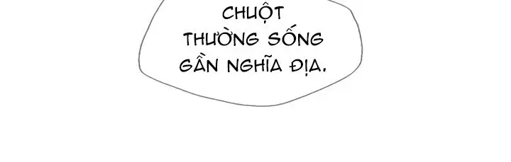 Tôi Viết Sách Để Thăng Cấp Nettruyen ZZZ Chương 23 Page 46