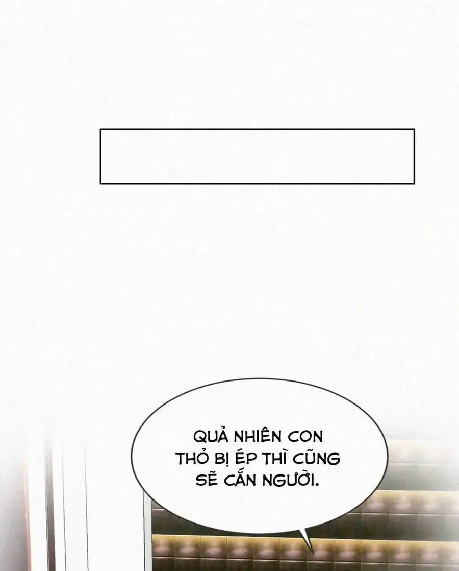 Nghịch Tập Chi Hảo Dựng Nhân Sinh Nettruyen ZZZ Chương 323 Page 38