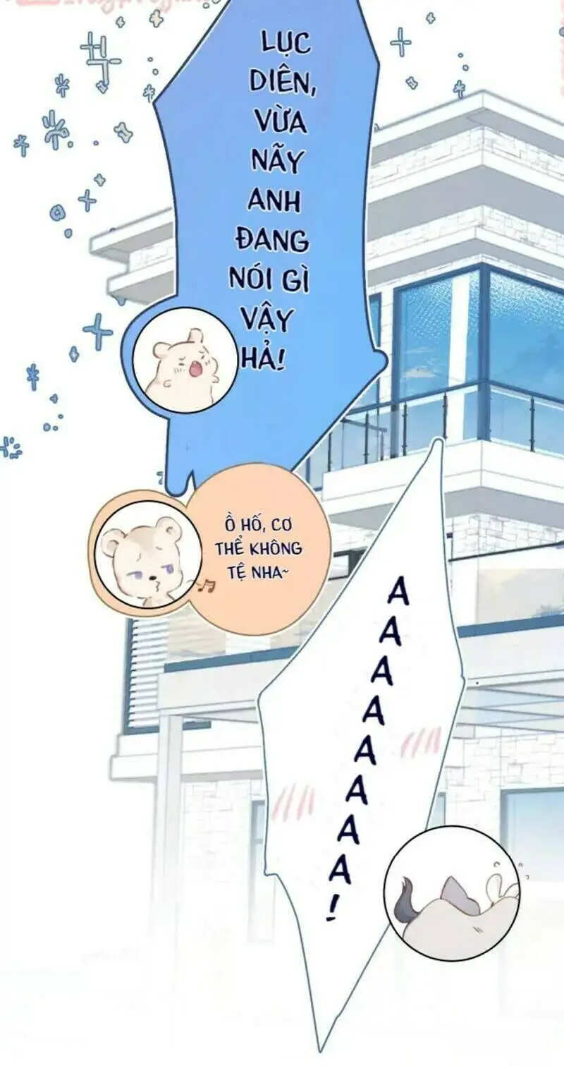Đừng Để Tôi Bảo Vệ Nettruyen ZZZ Chương 133 Page 11