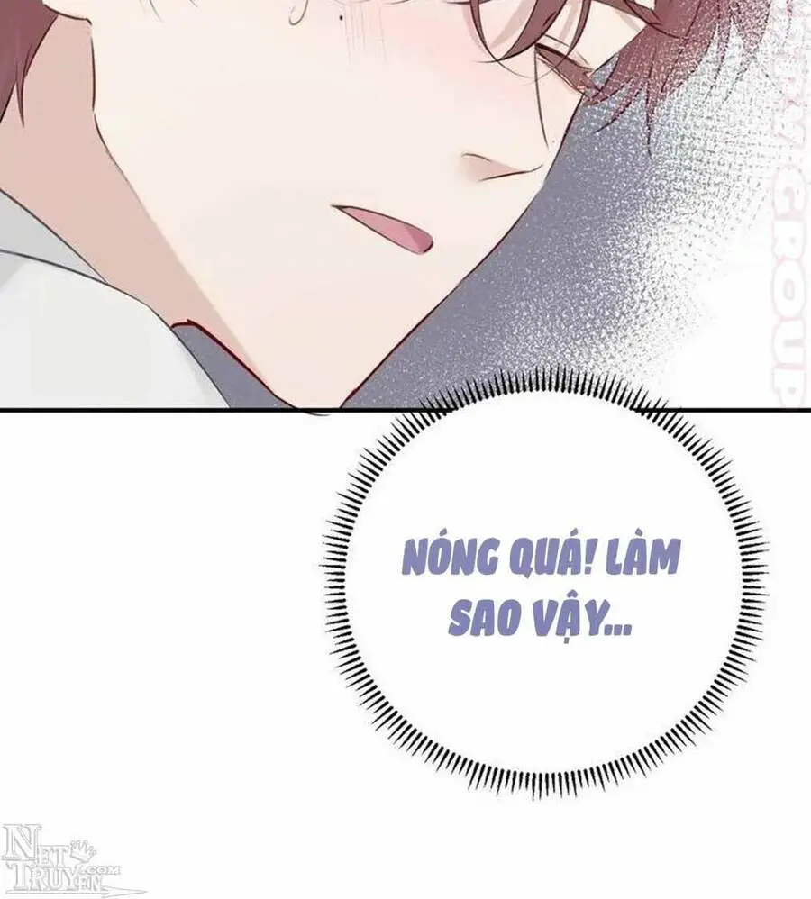 Đừng Để Tôi Bảo Vệ Nettruyen ZZZ Chương 20 Page 86