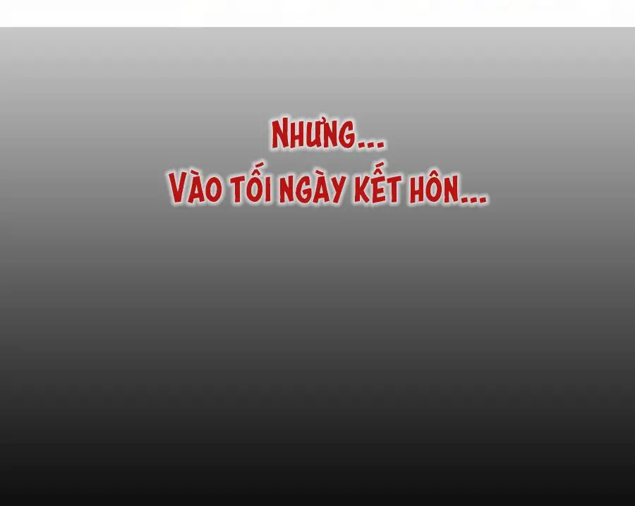 Cô Vợ Hợp Đồng Lạnh Lùng Không Dễ Đụng Đâu Nettruyen ZZZ Chương 0 Page 7