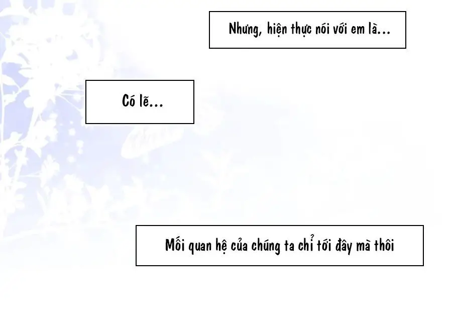 Cô Vợ Hợp Đồng Lạnh Lùng Không Dễ Đụng Đâu Nettruyen ZZZ Chương 0 Page 26