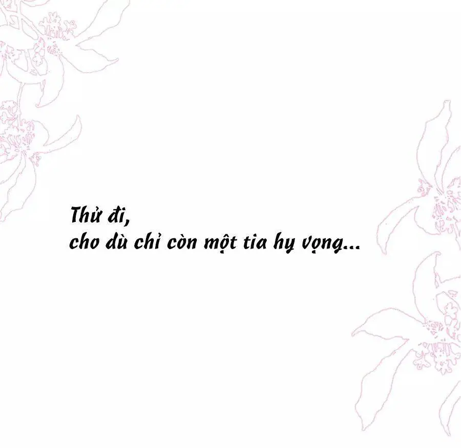 Cô Vợ Hợp Đồng Lạnh Lùng Không Dễ Đụng Đâu Nettruyen ZZZ Chương 7 Page 34