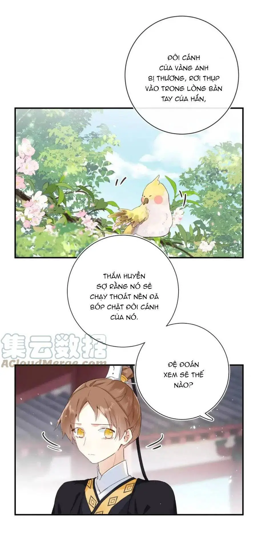 Lui Lui Lui Lui Ra! Nettruyen ZZZ Chương 94 Page 24