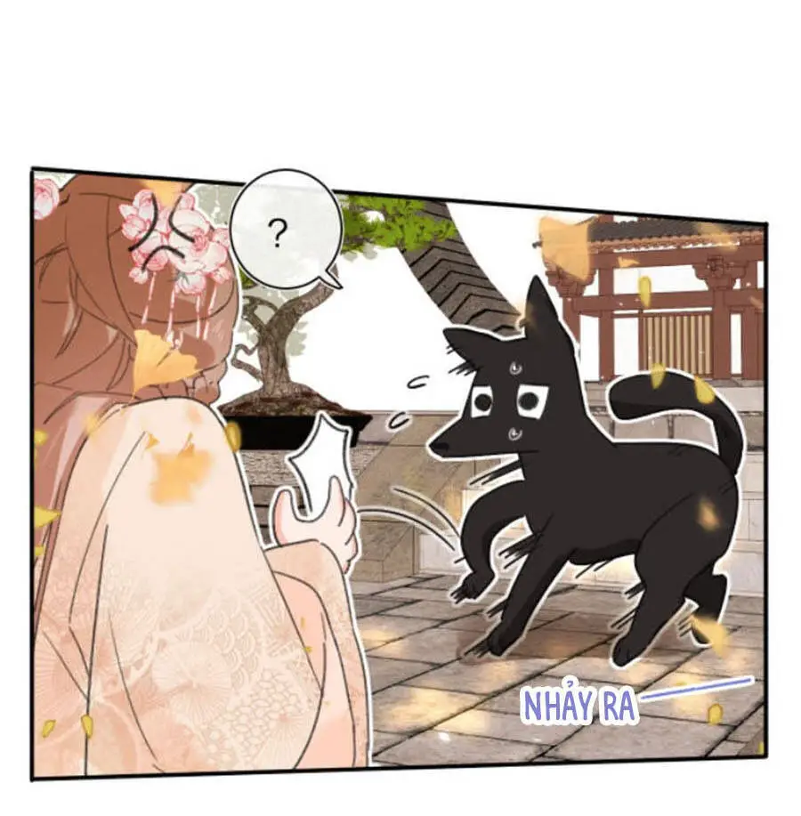 Lui Lui Lui Lui Ra! Nettruyen ZZZ Chương 19 Page 4
