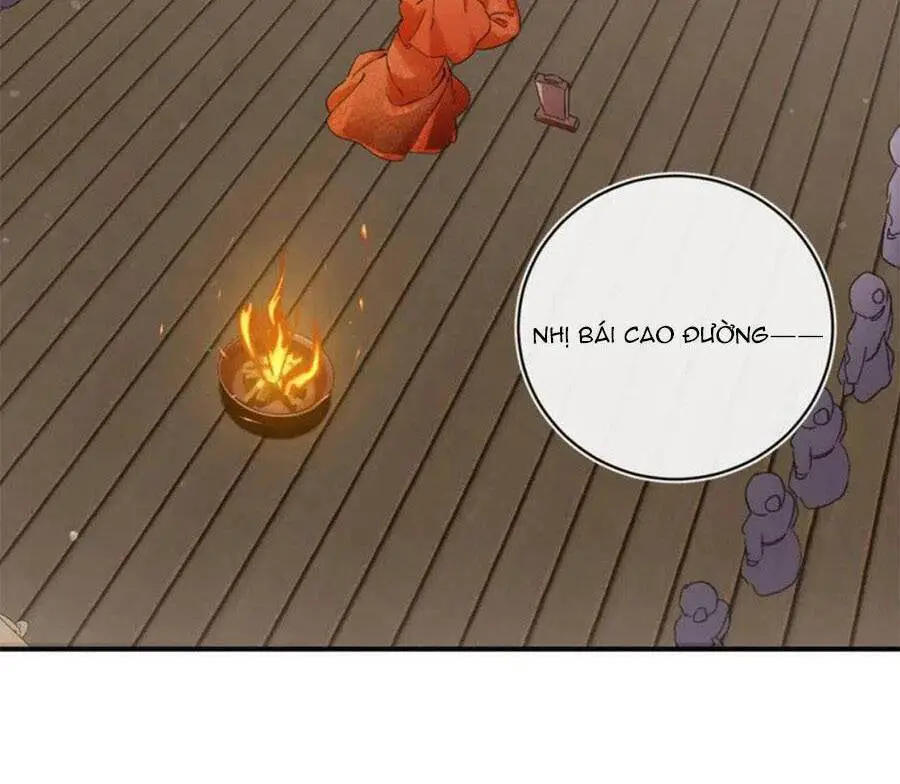 Lui Lui Lui Lui Ra! Nettruyen ZZZ Chương 84 Page 3