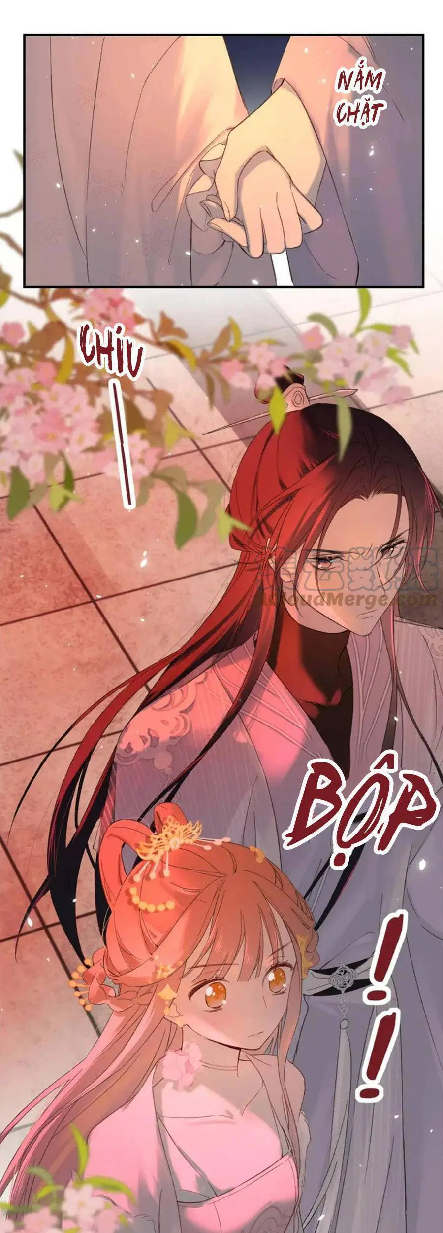 Lui Lui Lui Lui Ra! Nettruyen ZZZ Chương 79 Page 3