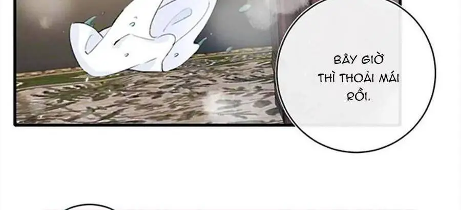 Lui Lui Lui Lui Ra! Nettruyen ZZZ Chương 72 Page 24