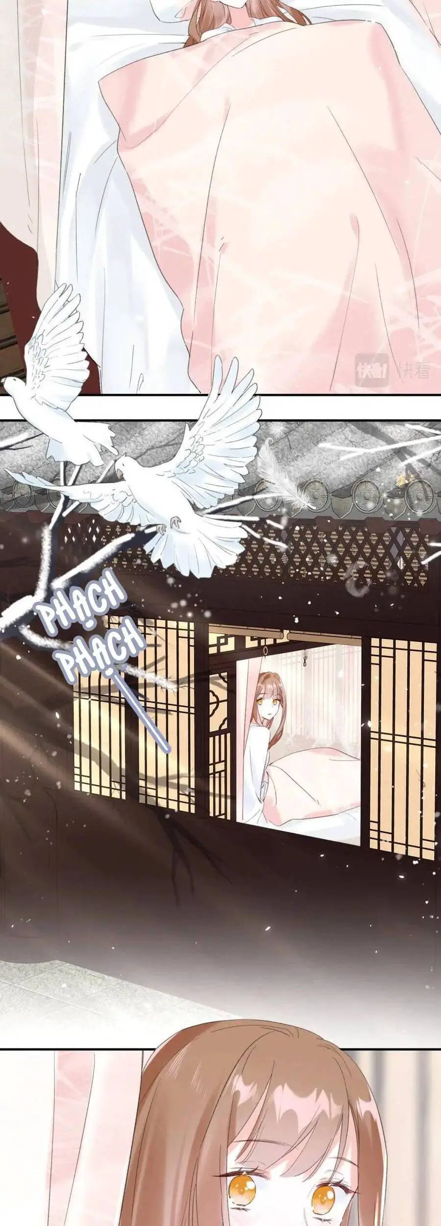 Lui Lui Lui Lui Ra! Nettruyen ZZZ Chương 60 Page 12